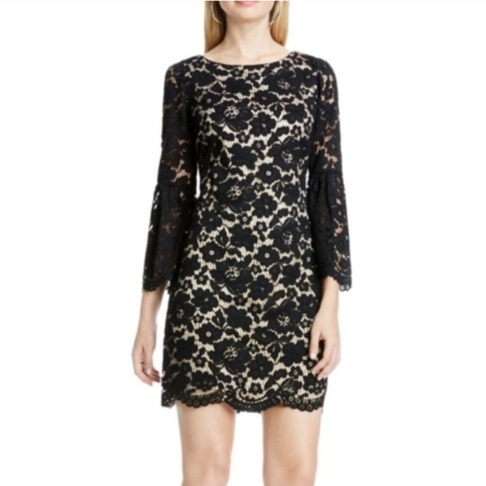 Vince Camuto sheer lace floral mini dress whimsigoth dark romantic size 6